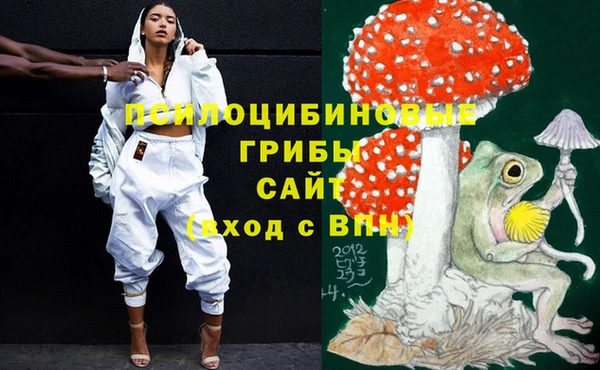 PSILOCYBIN Армянск