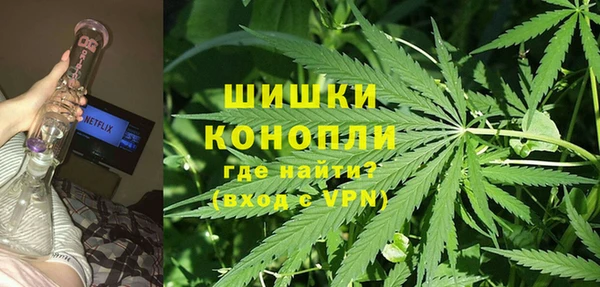 PSILOCYBIN Армянск
