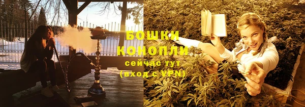 PSILOCYBIN Армянск